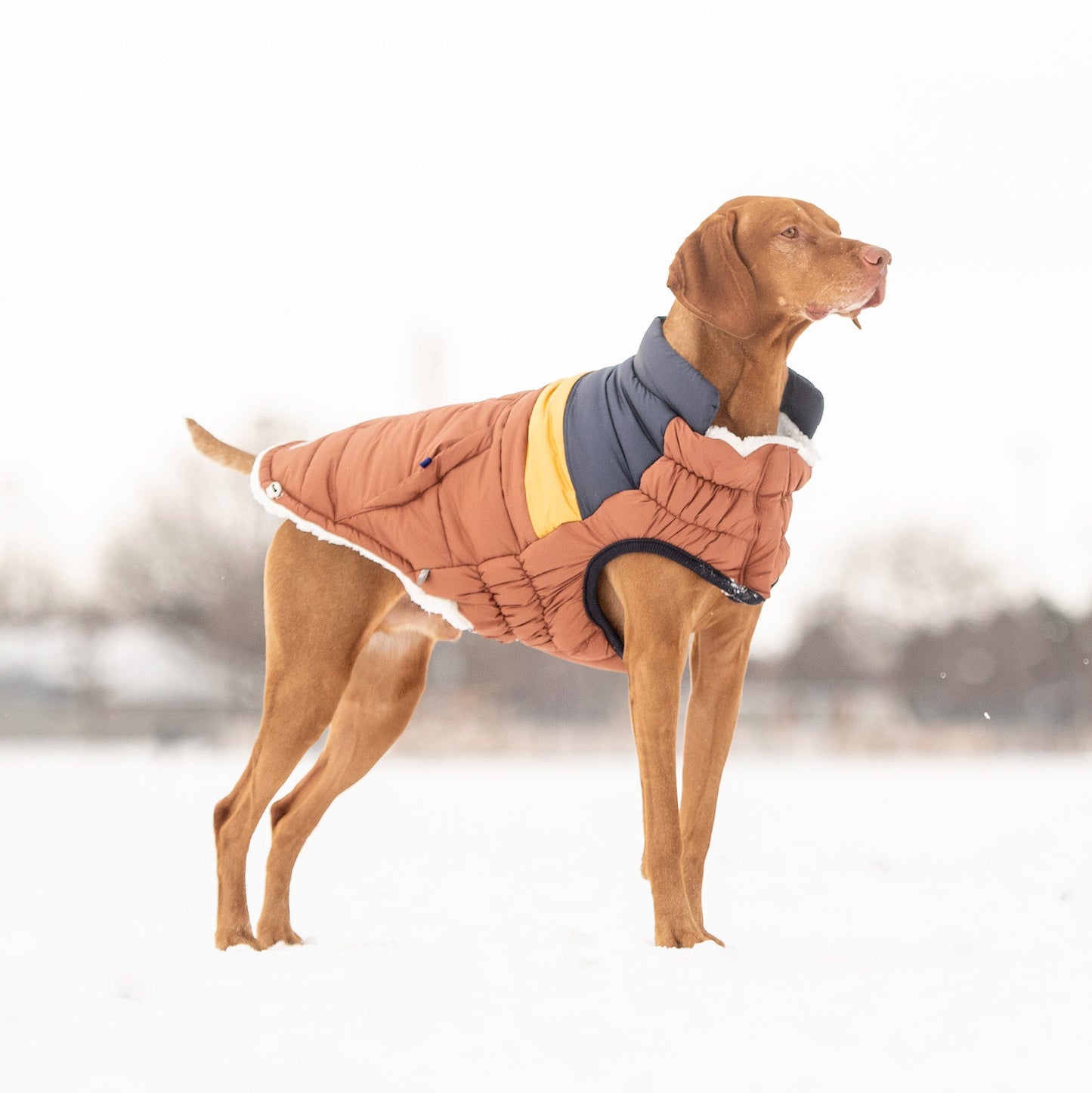 GF Pet Retro Puffer - Hazel