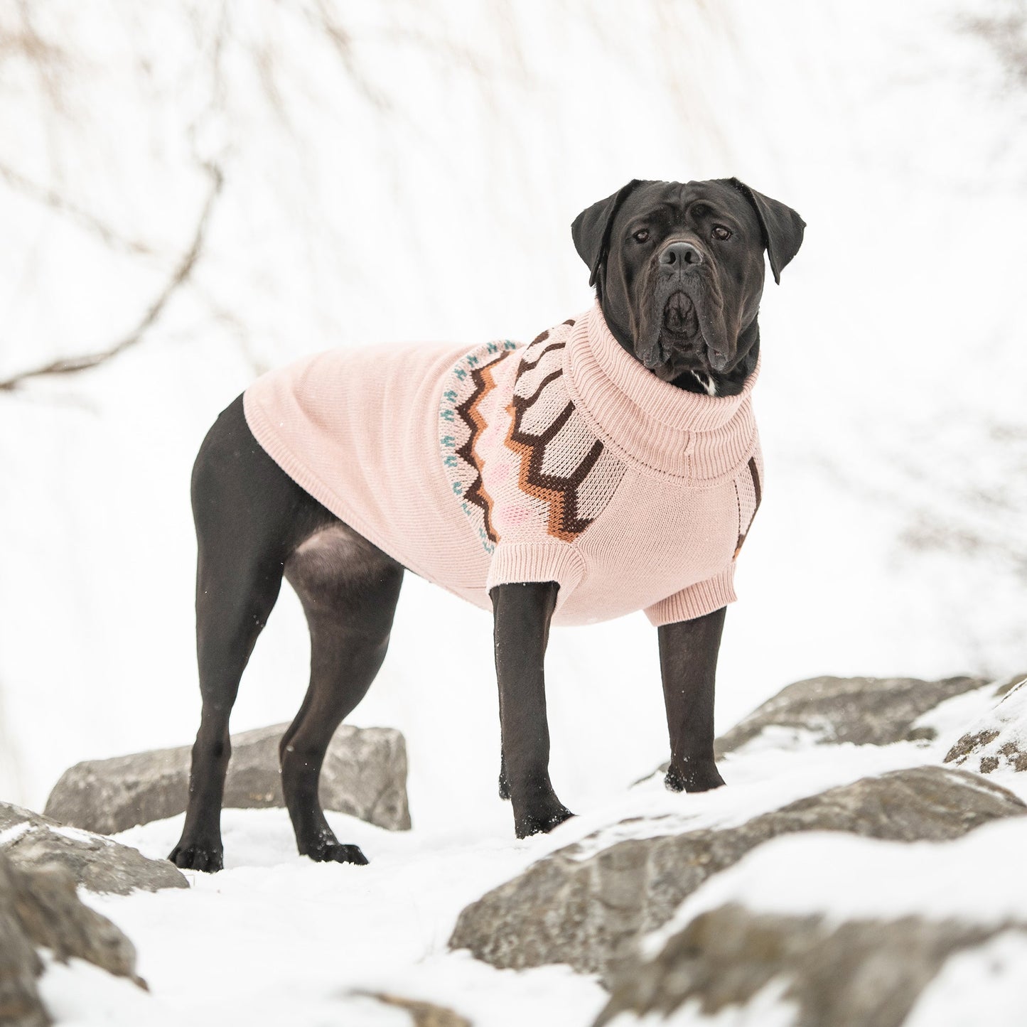 GF Pet Heritage Dog Sweater - Pink