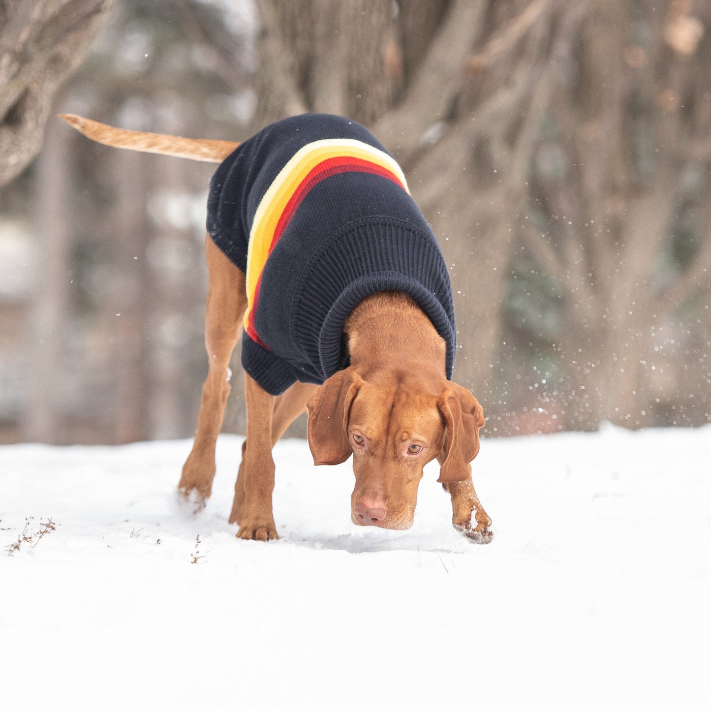 GF Pet Retro Sweater - Navy