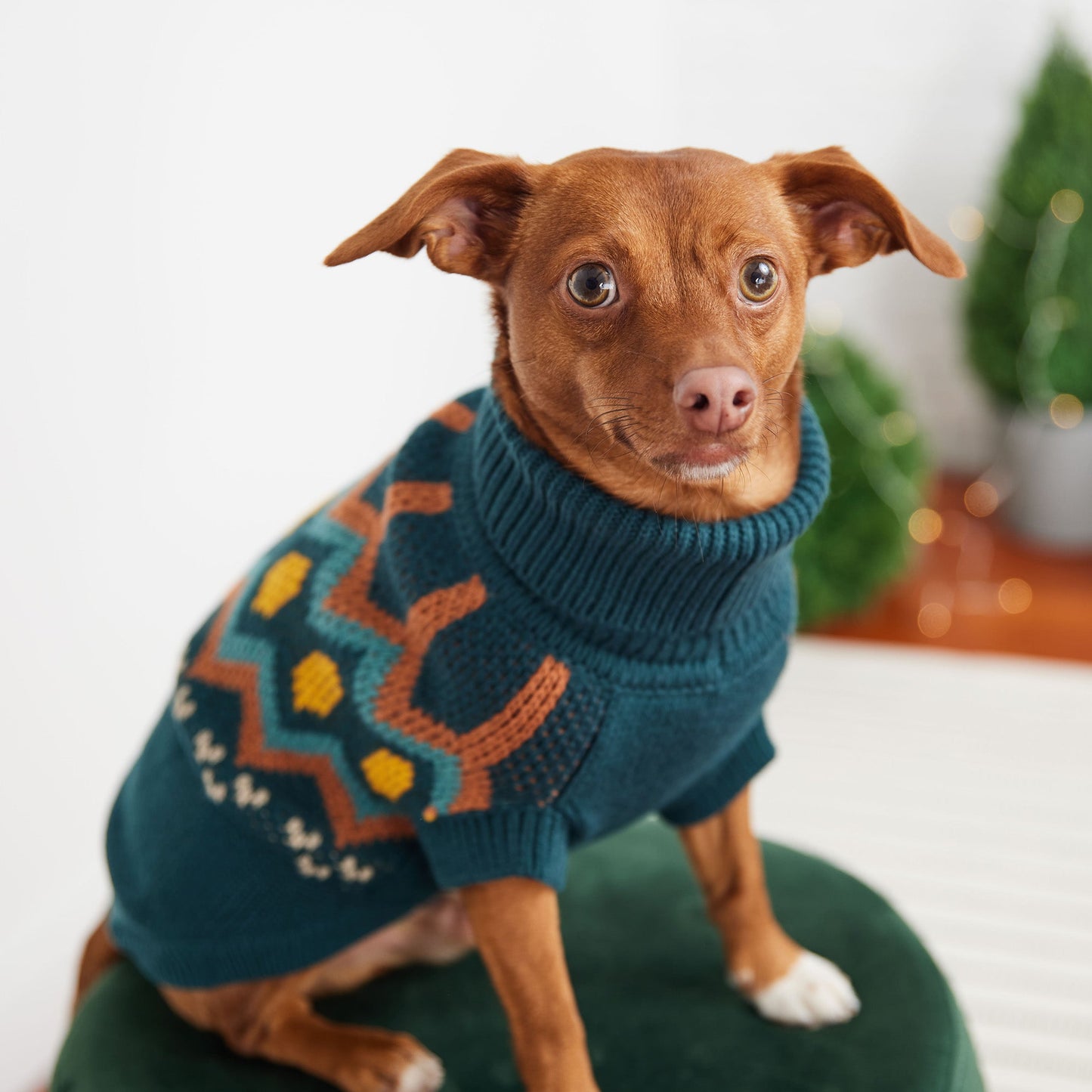 GF Pet Heritage Dog Sweater - Teal