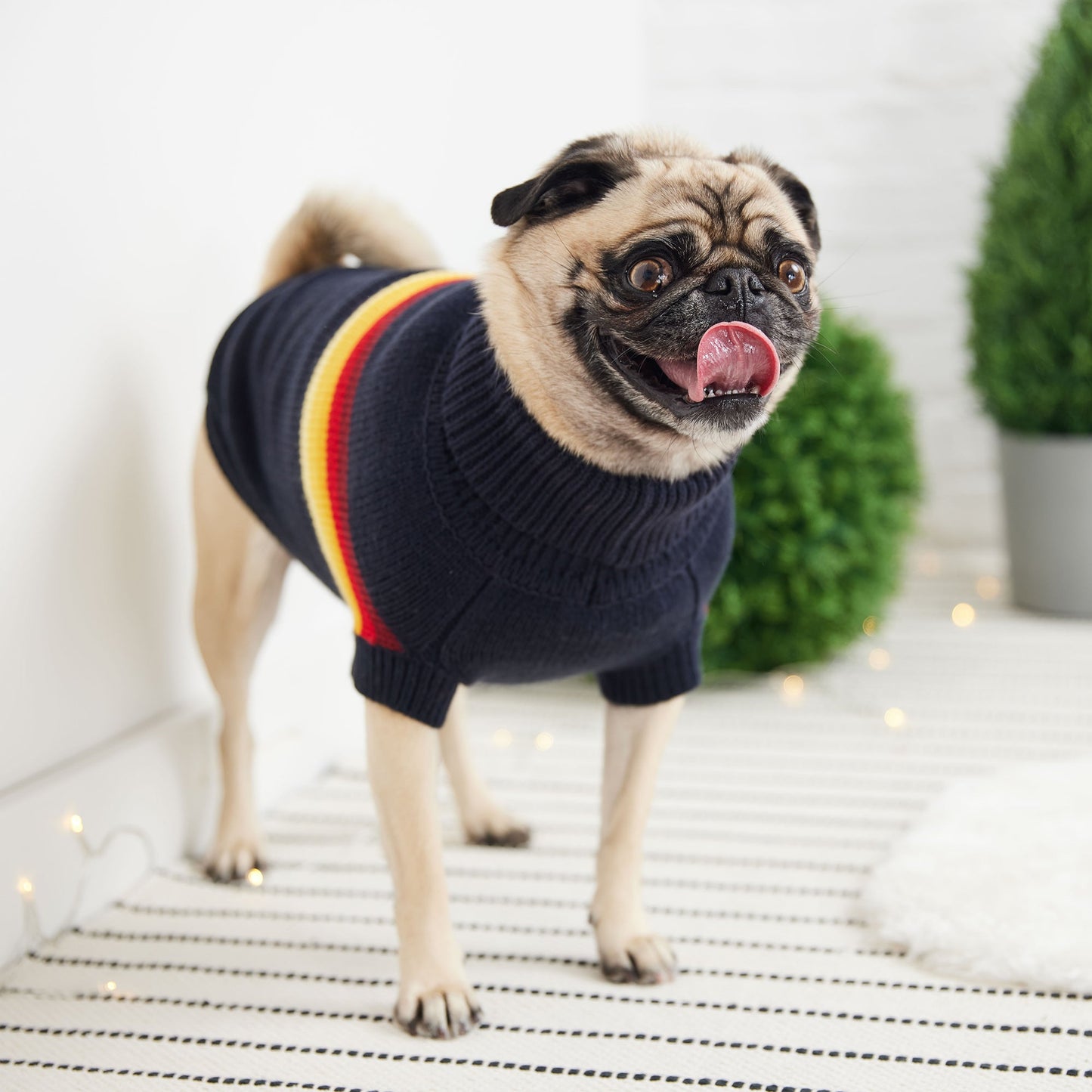 GF Pet Retro Sweater - Navy