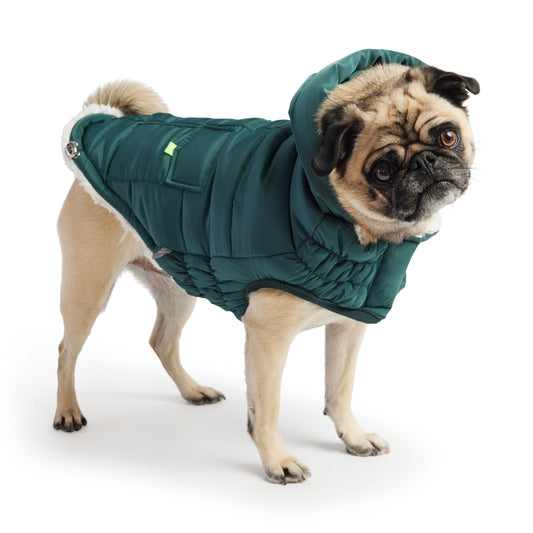 GF Pet Super Puff Parka - Teal