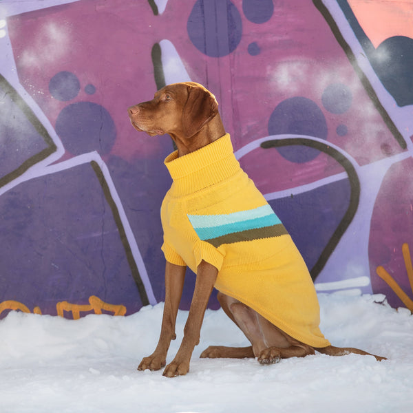 GF Pet Alpine Dog Sweater - Yellow