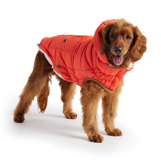 GF Pet Super Puff Parka - Orange