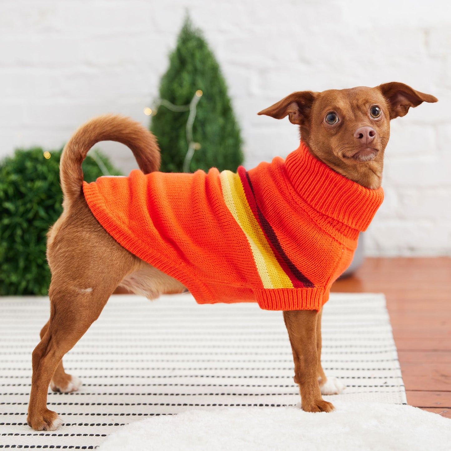 GF Pet Retro Sweater - Orange