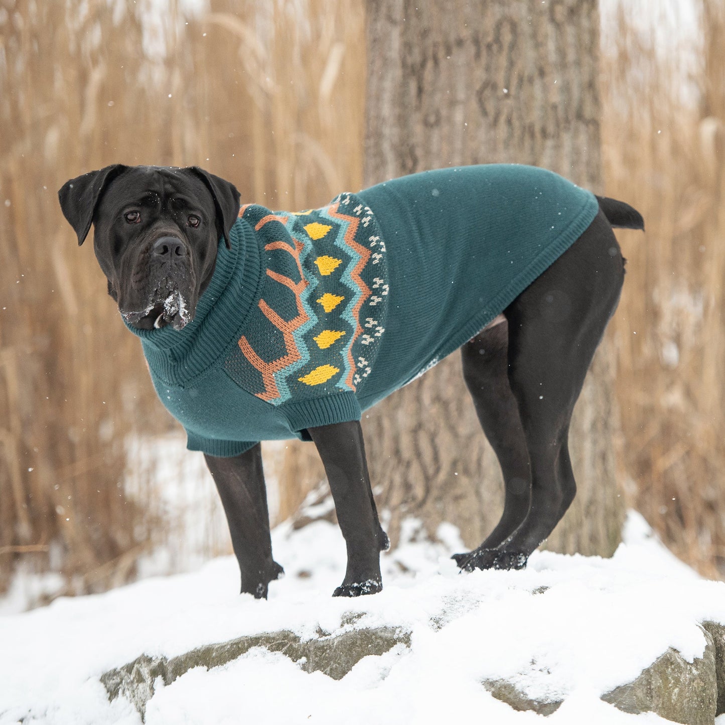 GF Pet Heritage Dog Sweater - Teal