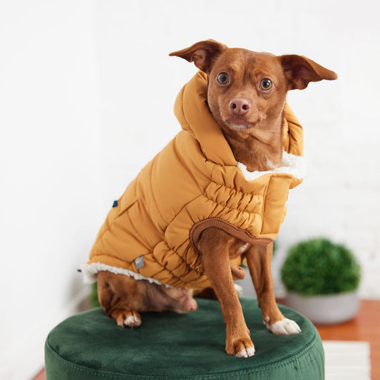 GF Pet Super Puff Parka - Yellow