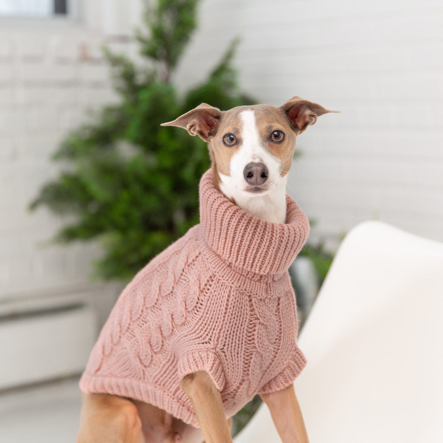 GF Pet Chalet Pet Sweater - Pink