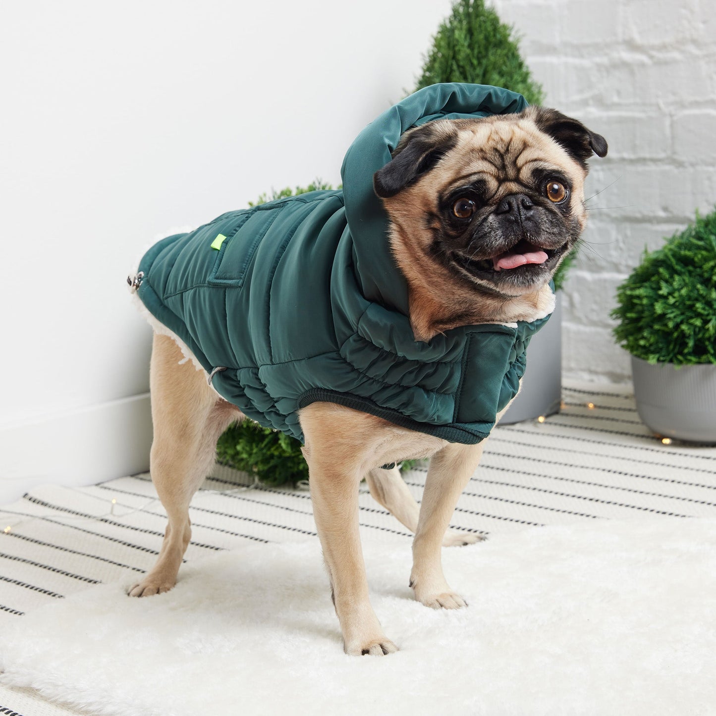 GF Pet Super Puff Parka - Teal