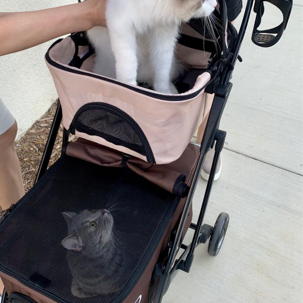 Petique Deluxe Double Decker Dog Stroller - multiple colors available