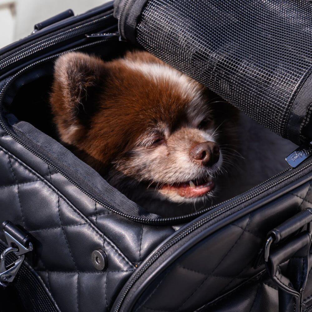 Petique Lux Dog Carrier Airline Approved