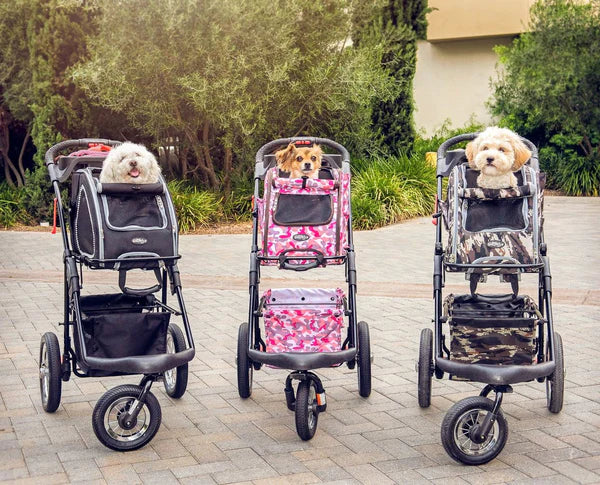 Three small dogs each sitting inside a Petique pet stroller.