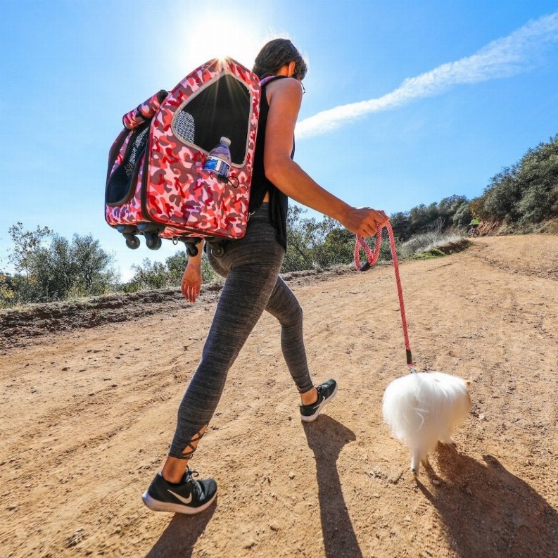 Image of a woman walking with her dog wearing a pet Petique backpack carrier.