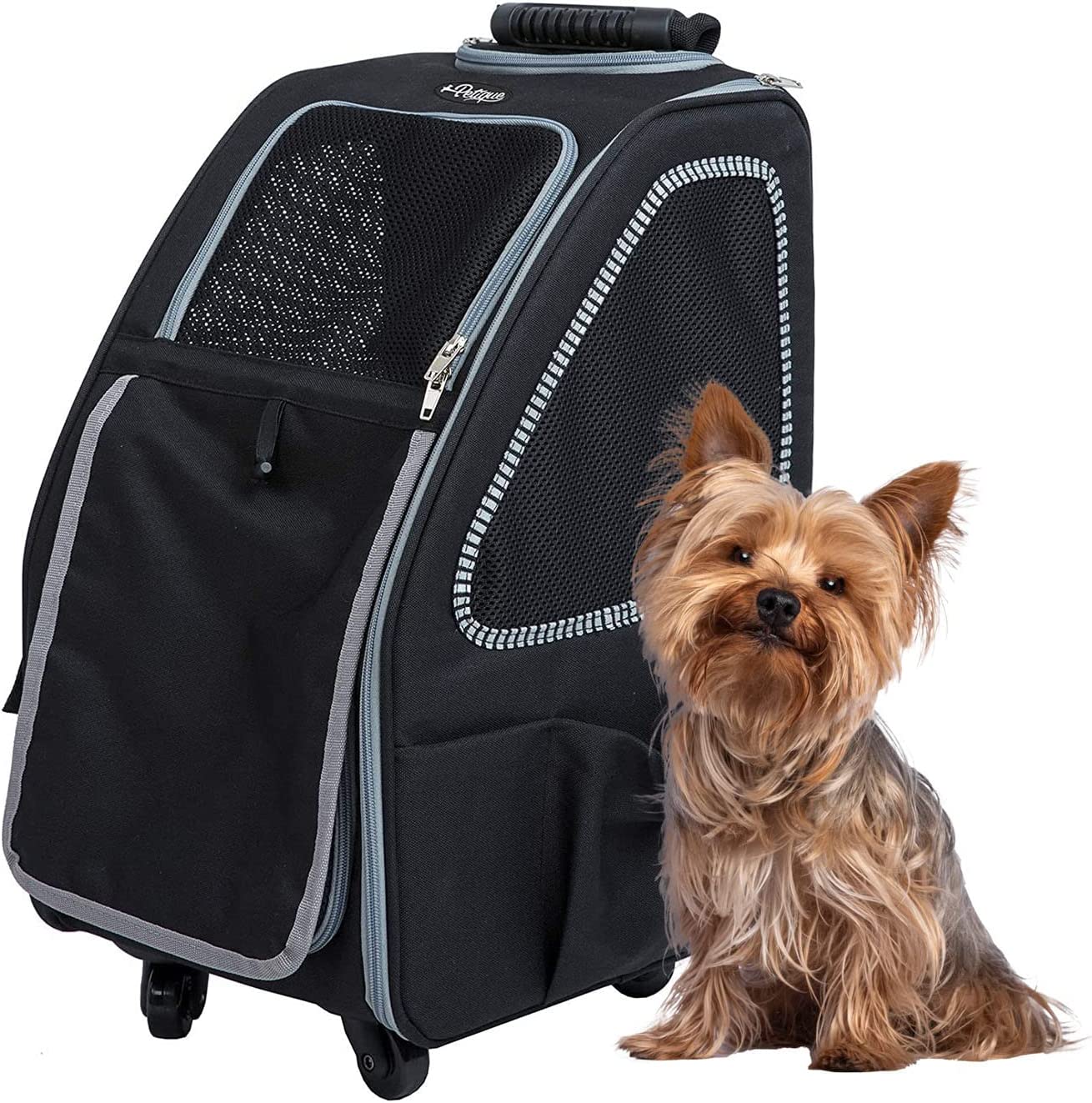 Petique 5-in-1 dog carrier in black with black and white trim. Small dog sitting outside the pet carrier.