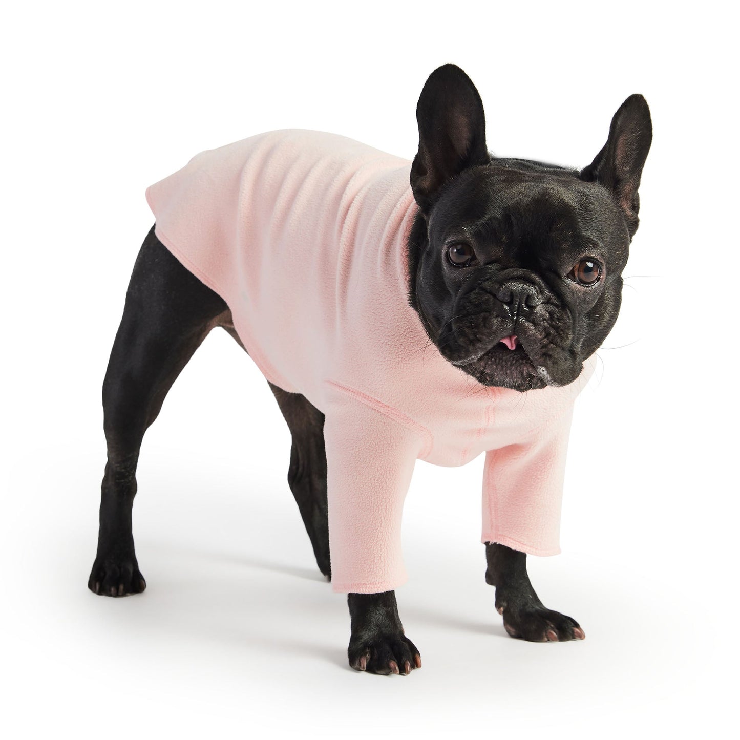 GF Pet Gondola Base Layer - Pink