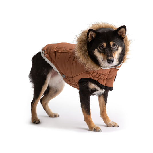 GF Pet Urban Parka - Caramel