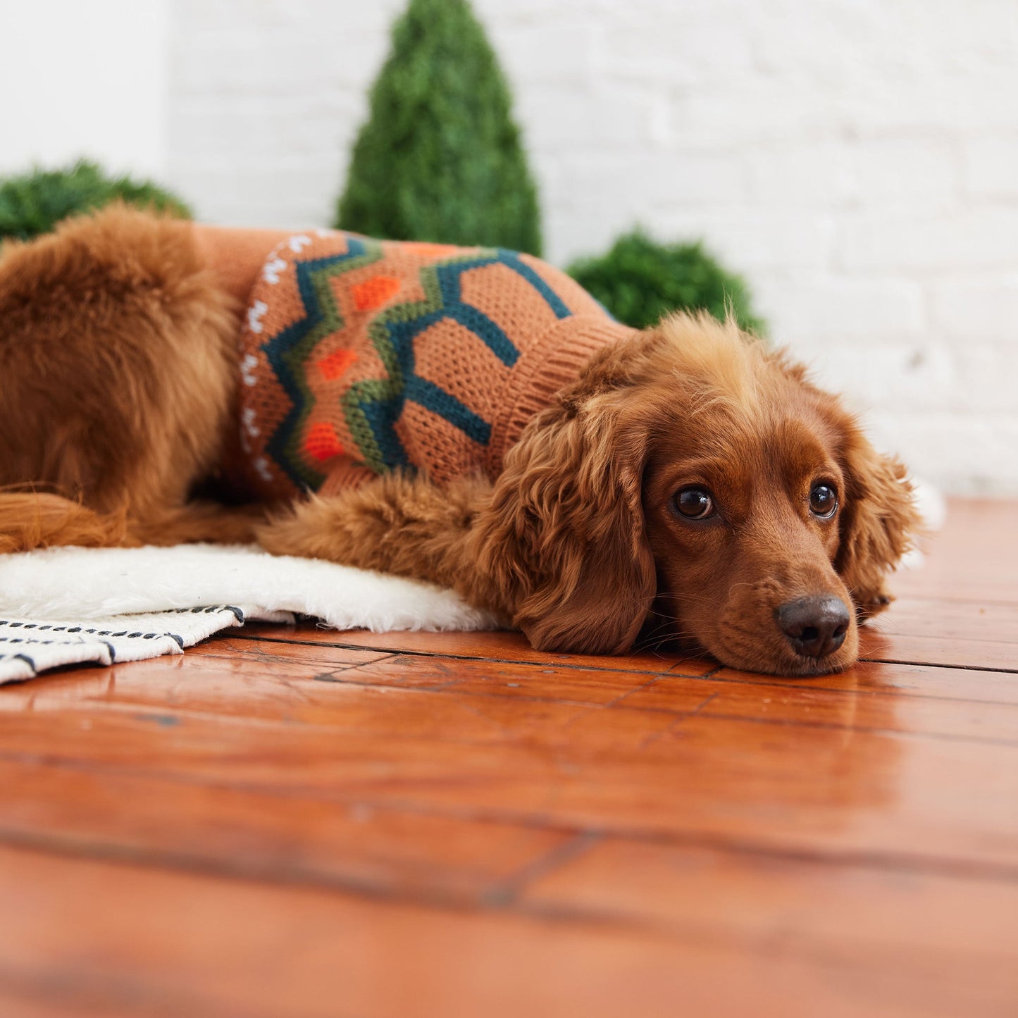 GF Pet Heritage Dog Sweater - Hazel