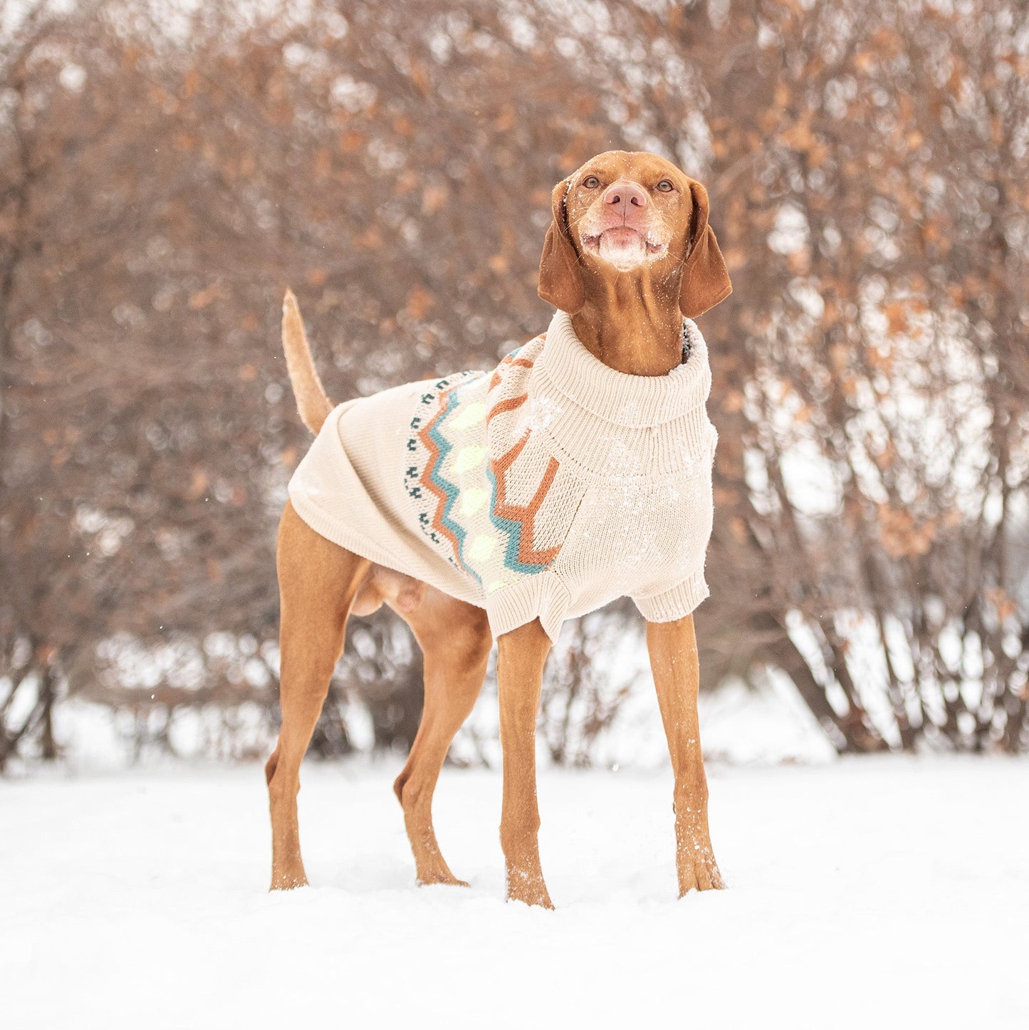 GF Pet Heritage Dog Sweater - Sand