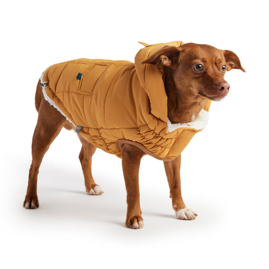 GF Pet Super Puff Parka - Yellow