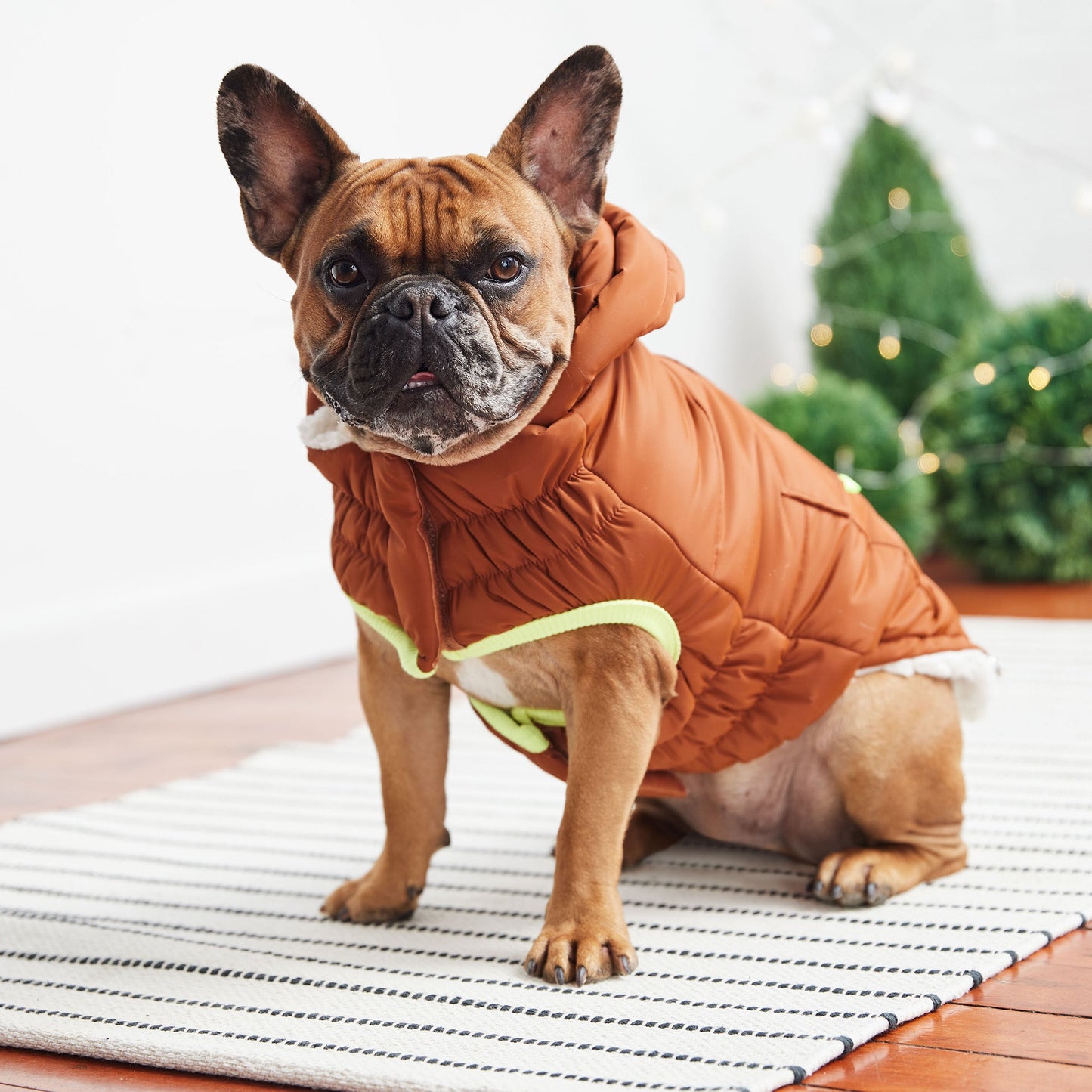 GF Pet Super Puff Parka - Hazel