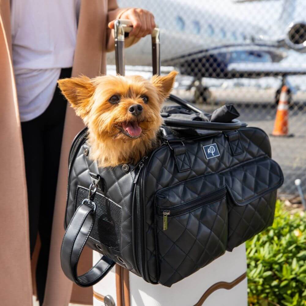 Small dog sitting inside the Petique Lux Pet Carrier secured of a suitcases handle.