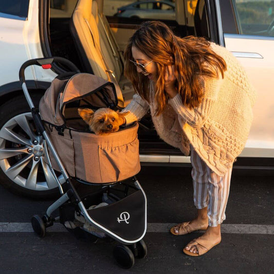 Woman standing next to her car with her dog inside the Petique Newport dog stroller.