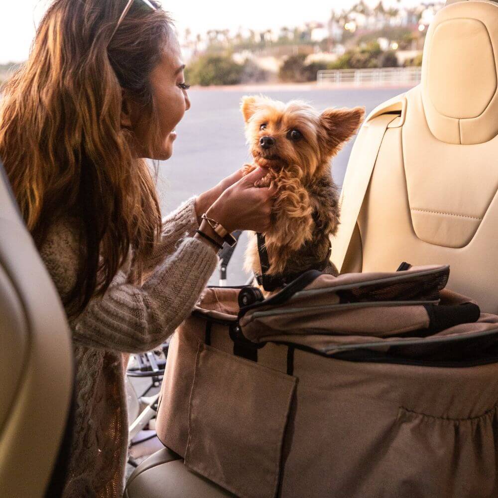 Woman placing her dog inside the Petique Newport pet car seat for dogs.