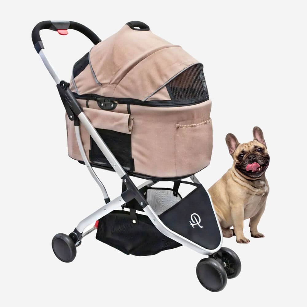 Frenchie sitting next to the Petique Newport dog stroller with detachable carrier.