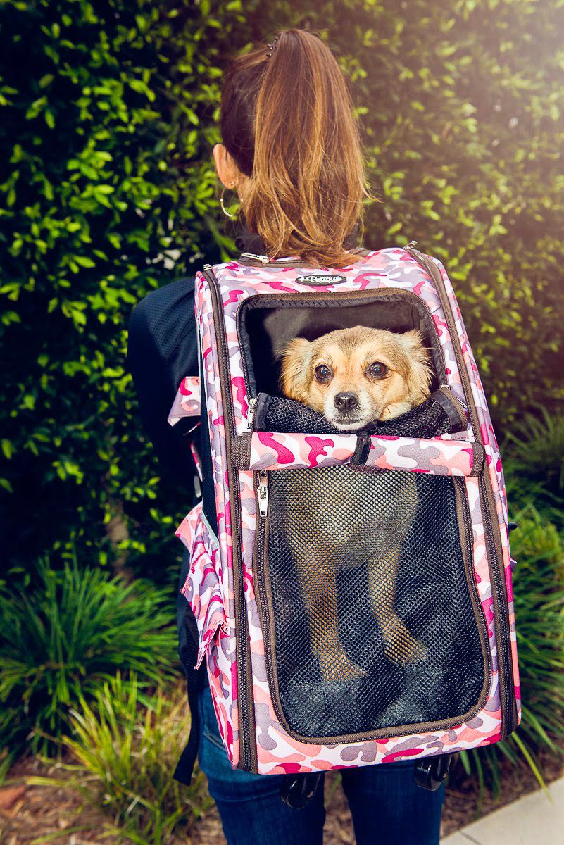 A woman wearing a Petique pet carrier packback with a small dog inside with its head peeking out.