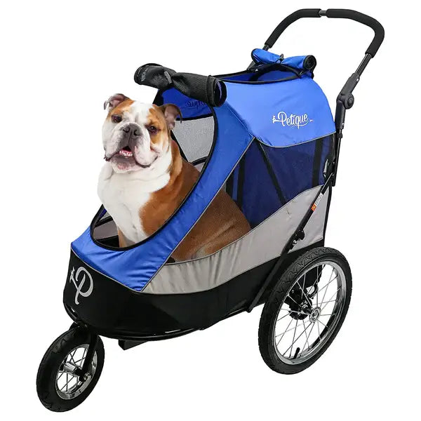 Bulldog sitting inside Petique Trailblazer dog stroller.