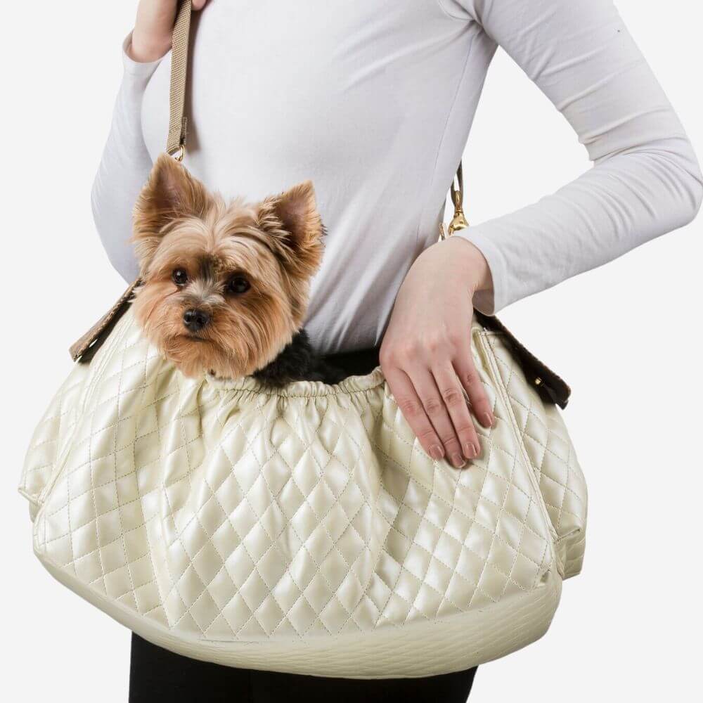 Terrier sitting inside the Petote Gigi modern dog carrier in quilted ivory material.