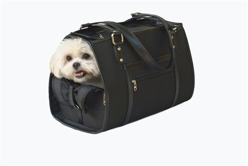 Small dog inside the Petote Payton modern dog carrier bag.