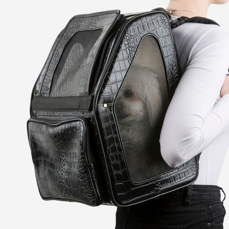 Person carrying their dog inside the Petote Rio dog carrier in black faux crocodile.